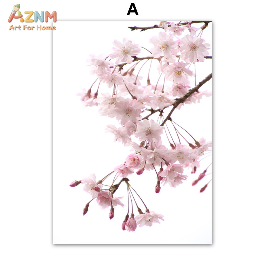 AZNM Pink Cherry Blossom Canva - Photography Quotes Inspirational review and price