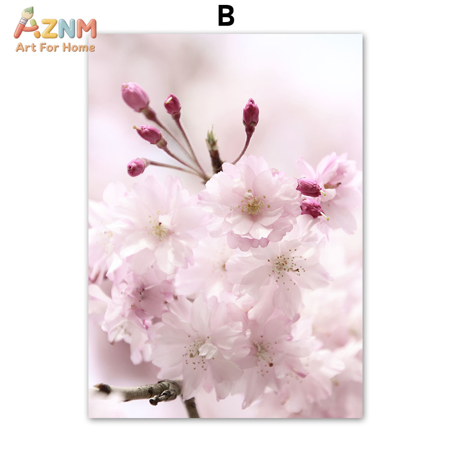 AZNM Pink Cherry Blossom Canva - Photography Quotes Inspirational review and price